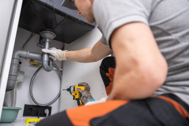 Best Local Plumber Services  in Dormont, PA